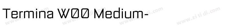 Termina W00 Medium字体转换